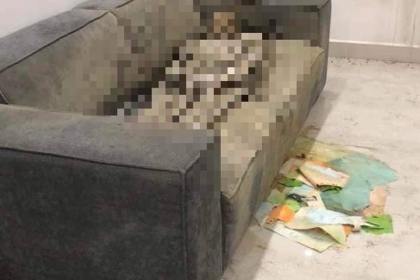 Điều tra thi thể nữ giới 'chết khô' trên sofa trong căn hộ cao cấp- Ảnh 1.