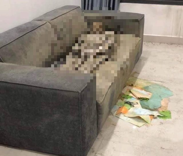 Điều tra thi thể nữ giới 'chết khô' trên sofa trong căn hộ cao cấp- Ảnh 1.
