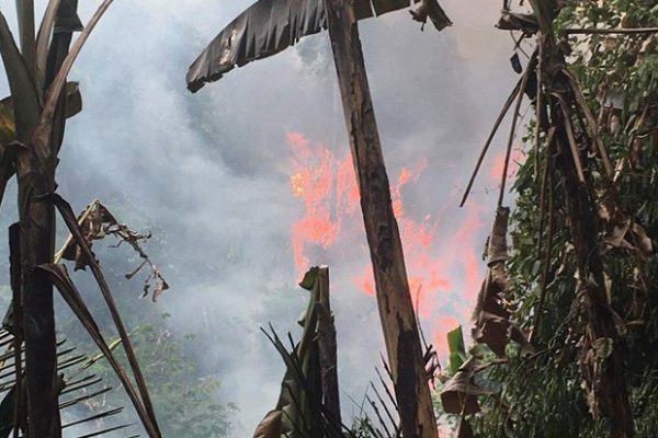 Một phụ nữ tử vong khi tham gia chữa cháy rừng ở Điện Biên- Ảnh 1.