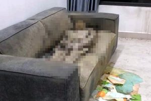 Thông tin mới nhất vụ thi thể cô gái chết khô trên sofa ở Hà Nội- Ảnh 1.