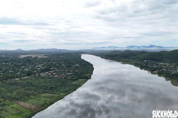 Người dân lao đao vì quả đặc sản 'tiến vua' mất mùa- Ảnh 1.