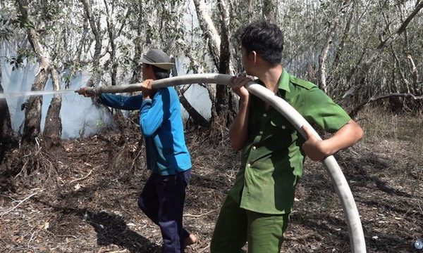 Vụ cháy ở Vườn quốc gia Tràm Chim ảnh hưởng thế nào đến các loài động vật quý hiếm?- Ảnh 2.