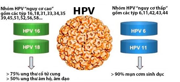 Đừng mắc ung thư cổ tử cung chỉ vì quan niệm sai lầm về phòng ngừa HPV- Ảnh 1.