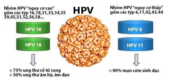 Đừng mắc ung thư cổ tử cung chỉ vì quan niệm sai lầm về phòng ngừa HPV- Ảnh 1.