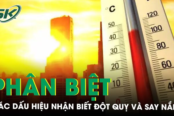 Đột quỵ và say nắng: Các dấu hiệu nhận biết, cách phân biệt