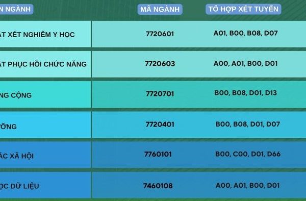 Nhiều trường đại học Y Dược công bố điểm sàn xét tuyển 2024- Ảnh 1.