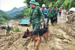 Vụ sạt lở ở Nậm Tông, Lào Cai: Nỗ lực tìm kiếm 5 người còn mất tích- Ảnh 1.