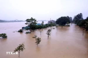 Lũ trên sông Thao lên nhanh, Yên Bái và Lào Cai có khả năng ở mức báo động 3- Ảnh 1.